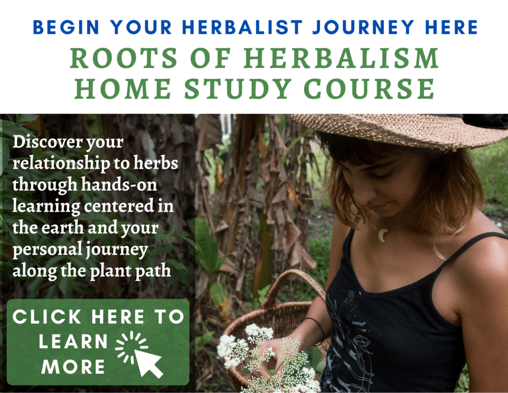 Home Florida School Of Holistic Living