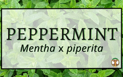 Peppermint 1