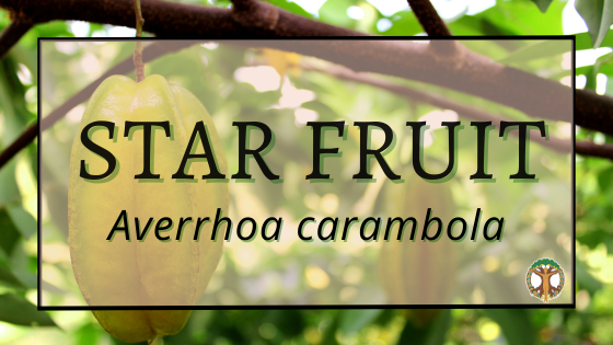 Star Fruit